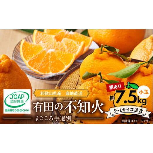 ZE6108n_【2026年先行予約】有田の不知火(しらぬひ) 【訳あり 家庭用】7.5kg 小玉(?S〜Lサイズ混合)まごころ手選別和歌山県湯浅町15000果物・フルーツみかん・柑橘類