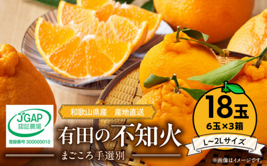 ZE6112n_【2026年先行予約】有田の不知火(しらぬひ) 6玉× 3箱(L〜2Lサイズ)まごころ手選別和歌山県湯浅町18000果物・フルーツみかん・柑橘類