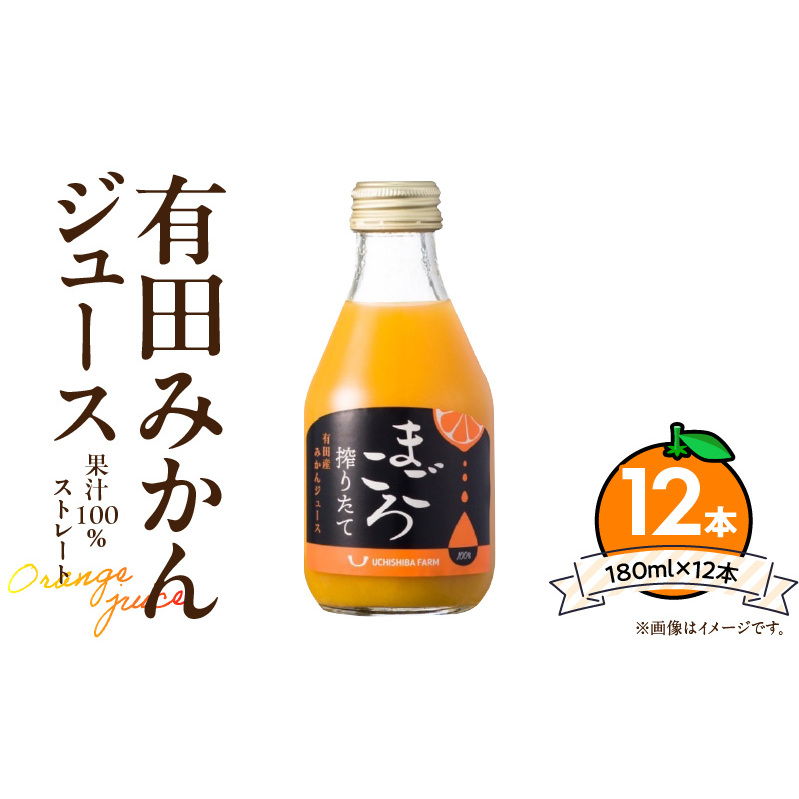 ZE6463_Lc݂W[X100 180ml×12{a̎R15000Eʏ`E؈