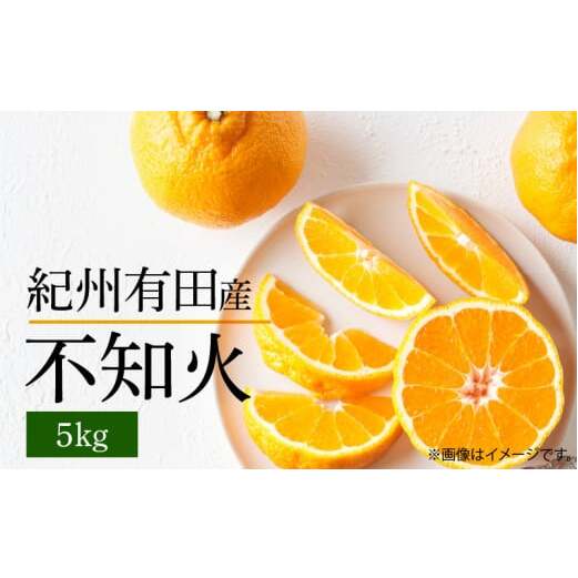 G7356_【2026年先行予約】不知火 5kg デコポン 柑橘の王様 甘い プリプリ ジューシー 濃厚 フルーツ 果実 果物 柑橘 紀州有田産 国産 食品 食べ物 お取り寄せ 魚鶴商店 和歌山県 湯浅町 和歌山県