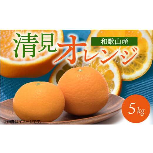 G7066_【2026年先行予約】とにかくジューシー 清見 オレンジ 5kg和歌山県湯浅町14000果物・フルーツみかん・柑橘類