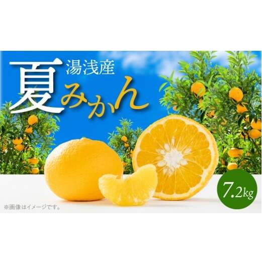 G7074_【2026年先行予約】湯浅産 夏みかん 7.2kg和歌山県湯浅町14000果物・フルーツみかん・柑橘類