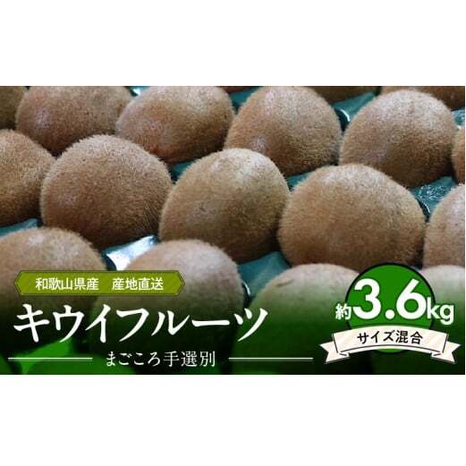 ZE6187n_【2026年先行予約】和歌山県産 キウイフルーツ 3.6kg (サイズ混合) 【まごころ手選別】 【キウイ グリーンキウイ フルーツ 国産】和歌山県湯浅町15000果物・フルーツその他 果物・フルー