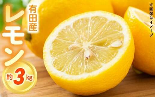 ZN6008n_ 【2026年先行予約】和歌山県 有田産 レモン 3kg【国産 レモン 柑橘 フルーツ 和歌山】和歌山県湯浅町11000果物・フルーツみかん・柑橘類