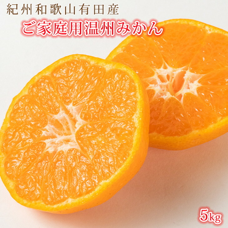 G7045_紀州 有田産 濃厚甘熟 温州みかん 5kg【家庭用 訳あり】和歌山県湯浅町11000果物・フルーツみかん・柑橘類