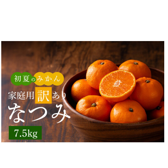 G7073_【2026年先行予約】初夏のみかん なつみ 7.5kg【家庭用 訳あり】【ミカン 蜜柑 柑橘 和歌山 有田 南津海】和歌山県湯浅町16000果物・フルーツみかん・柑橘類