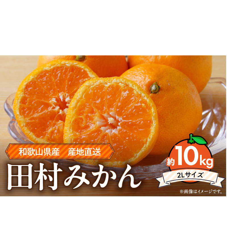 ZE6487_Y_【直営限定】【2025年先行予約】和歌山 湯浅町産 田村みかん 10kg【2L】和歌山県湯浅町18000果物・フルーツみかん・柑橘類