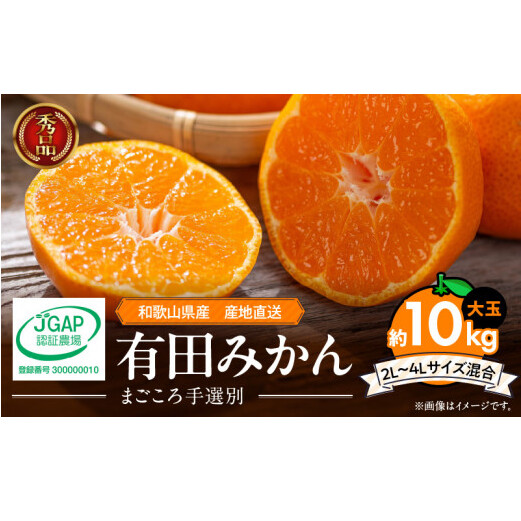 ZE6333n_和歌山有田みかん10kg 2L〜4Lサイズ混合 和歌山県湯浅町15000果物・フルーツみかん・柑橘類