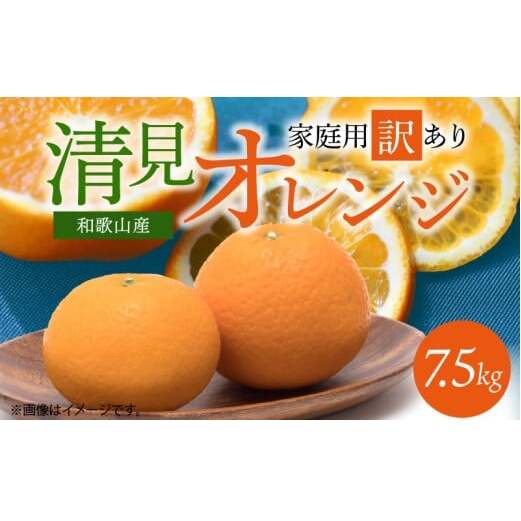 G7067_【2026年先行予約】紀州有田産 清見 オレンジ 7.5kg【家庭用 訳あり】和歌山県湯浅町16000果物・フルーツみかん・柑橘類