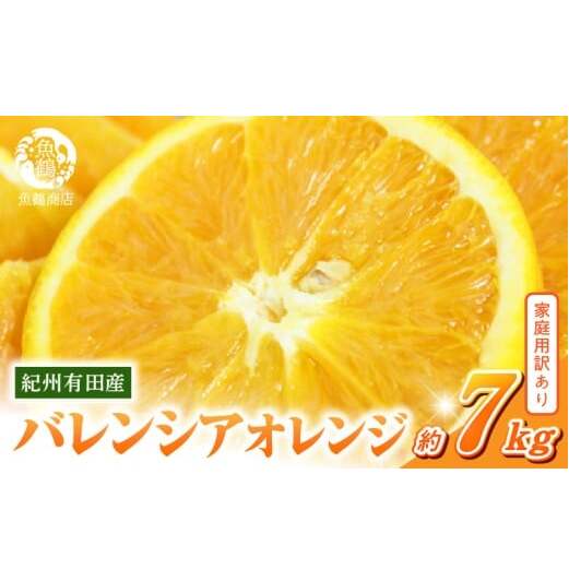G7080_希少な 国産 バレンシアオレンジ 7kg 【家庭用 訳あり】【国産オレンジ オレンジ 柑橘 フルーツ 和歌山 有田】和歌山県湯浅町16000果物・フルーツみかん・柑橘類
