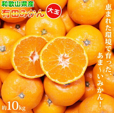 ZN6004n_ (大玉) 和歌山県産 有田みかん 10kg ひとつひとつ手選別で厳選!生産者から直送和歌山県湯浅町14000果物・フルーツみかん・柑橘類