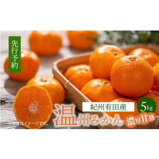 G7344_紀州 有田産 濃厚甘熟 温州みかん 5kg (小粒サイズ)和歌山県湯浅町16000果物・フルーツみかん・柑橘類