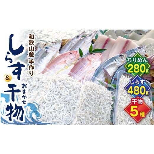 DL6003_しらす ・ 干物 おまかせ詰め合わせ セット C 和歌山県湯浅町20000魚介・海産物干物