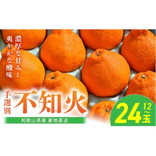 BL6016n_yYnzy2026Ns\za̎RY sm 12ʁ`24ʁyłۂ fR| ʂ sm kza̎R15000ʕEt[c݂Ek