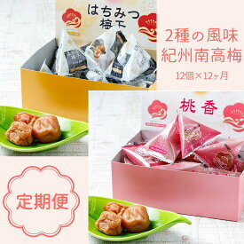 BL6155_【定期便】紀州南高梅 2種の風味 テトラピロー 個包装 12個入 ×12和歌山県湯浅町60000鍋セット・総菜・加工食品漬物・梅干・キムチ