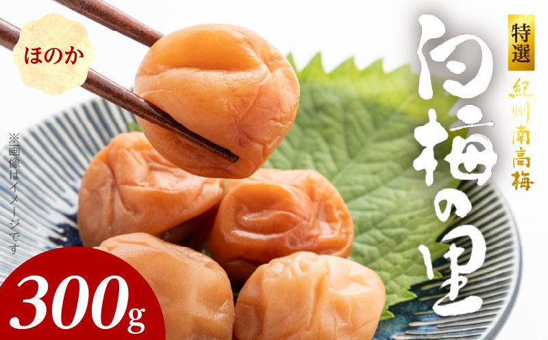 SF1013_特選紀州南高梅「白梅の里」ほのか 300g和歌山県湯浅町8000鍋セット・総菜・加工食品漬物・梅干・キムチ