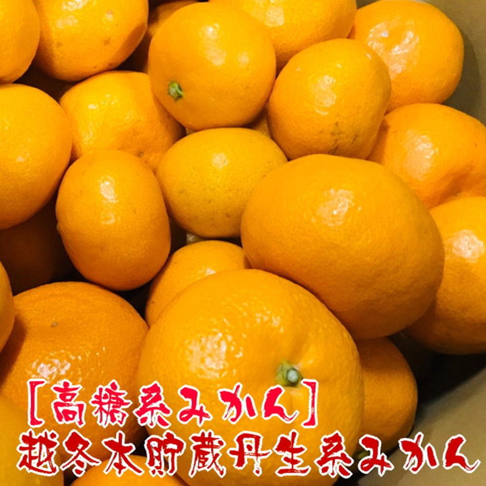 AB7068n_【高糖系みかん】越冬本貯蔵 丹生系みかん 約5kg和歌山県湯浅町15000果物・フルーツみかん・柑橘類