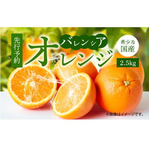 G7078_希少な 国産 バレンシアオレンジ 2.5kg 秀品和歌山県湯浅町10000果物・フルーツみかん・柑橘類