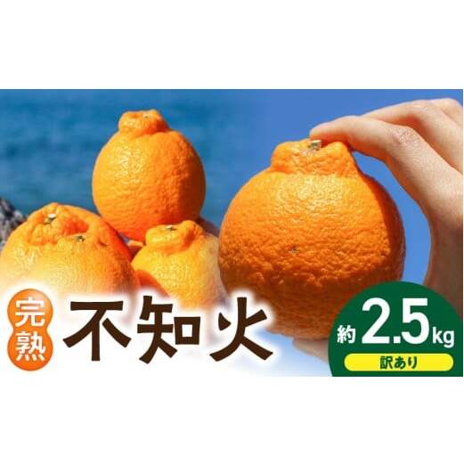 EA6020n_【訳あり・ご家庭用】 和歌山県産 完熟 不知火 2.5kg 甘酸っぱい味わいと芳醇な風味がたまらない高級柑橘!和歌山県湯浅町9000果物・フルーツみかん・柑橘類