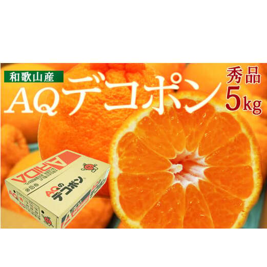 DN6012n_【2026年先行予約】和歌山県産 AQ デコポン 5kg 秀品 (12〜24玉)和歌山県湯浅町18000果物・フルーツみかん・柑橘類