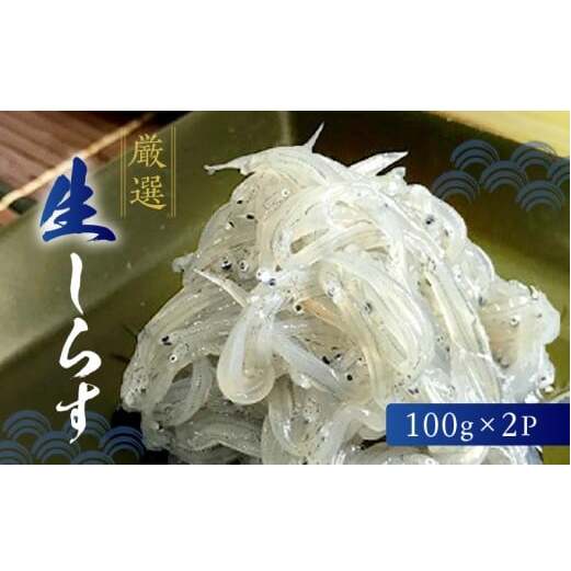H6019n_厳選 生しらす (100g×2P)和歌山県湯浅町7000魚介・海産物干物