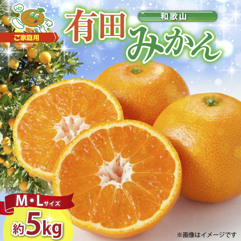 ZJ6083_ご家庭用 和歌山 有田みかん 約5kg (M、Lサイズ)【湯浅町】和歌山県湯浅町10000果物・フルーツみかん・柑橘類