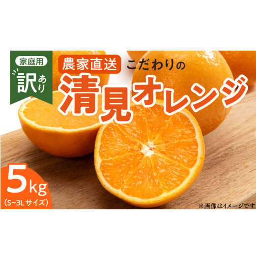 ZT6230n_y2026Ns\z  IW y󂠂 ƒpz 5kg Ga̎R12000ʕEt[c݂Ek