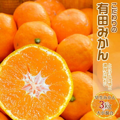 EA6016n_濃厚な味わいのこだわり 有田みかん 3kg (早生みかん・大小混合)和歌山県湯浅町11000果物・フルーツみかん・柑橘類