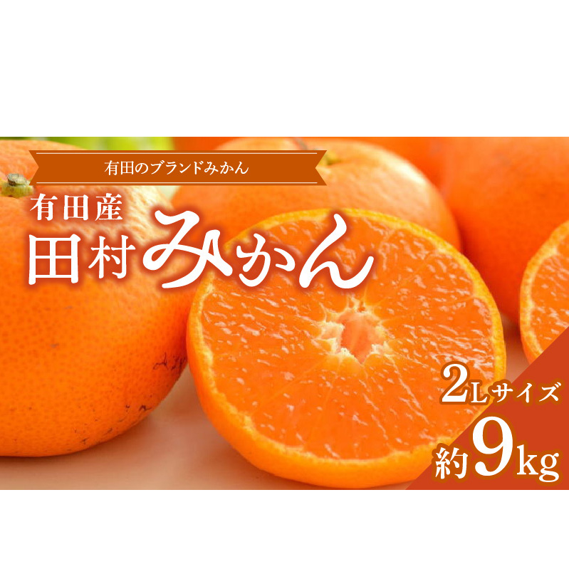 ZD7029_数量限定【ブランドみかん】田村みかん 約9kg (2Lサイズ)和歌山県湯浅町15000果物・フルーツみかん・柑橘類