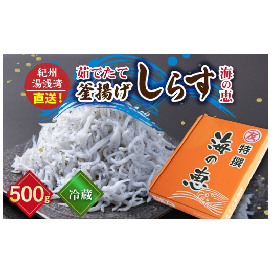 C6039n_【冷蔵】 茹でたて 釜揚げしらす 海の恵み 500g 紀州湯浅湾直送!【しらす干し ちりめんじゃこ シラス】和歌山県湯浅町9000魚介・海産物干物