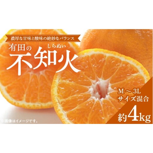 ZD6379n_【2026年先行予約】【濃厚】有田産不知火約4kg(M〜3Lサイズ混合)和歌山県湯浅町13000果物・フルーツみかん・柑橘類
