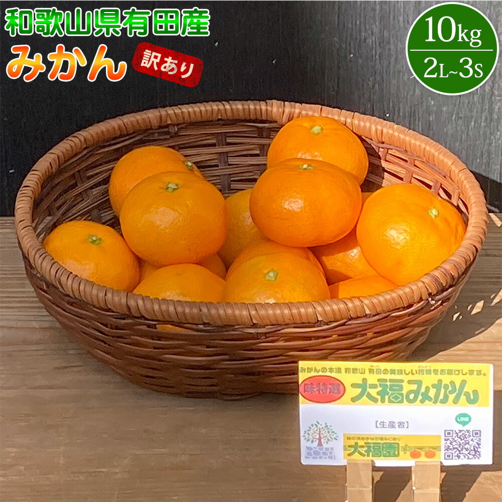 BT6008n_和歌山県有田産 みかん 10kg 2L〜3Sサイズ(おまかせ)【訳あり・家庭用】和歌山県湯浅町16000果物・フルーツみかん・柑橘類