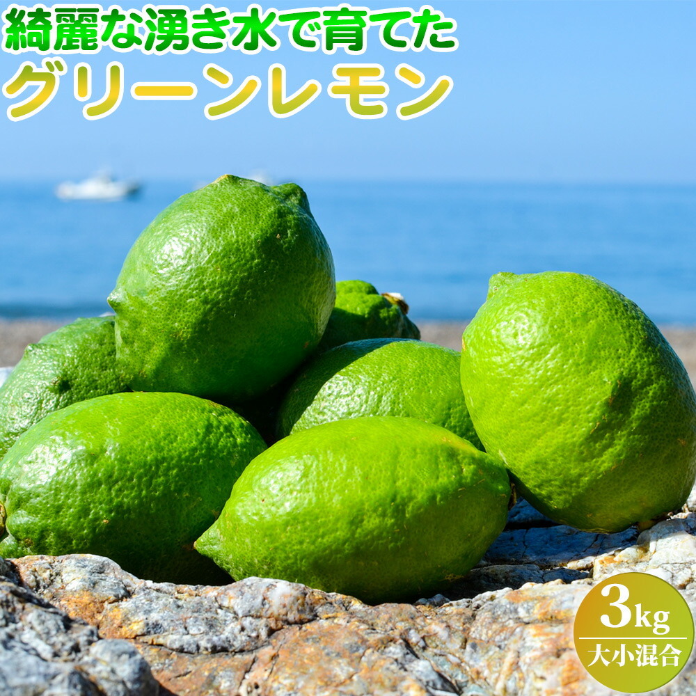 EA6043n_綺麗な湧き水で育てた グリーンレモン 3kg (大小混合)和歌山県湯浅町11000果物・フルーツみかん・柑橘類