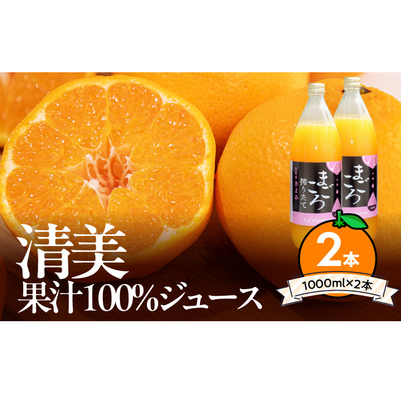ZE6406n_【まごころ搾りたて】清見 100%ジュース 1000ml 2本和歌山県湯浅町10000お茶・飲料果汁・野菜飲料