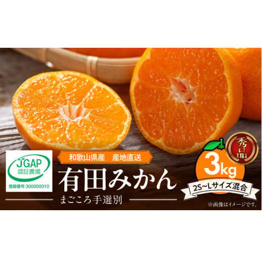 ZE6413n_yGizLc݂ a̎RLcY 3kg (2S`LTCY) y܂IʁzyYnza̎R10000ʕEt[c݂Ek