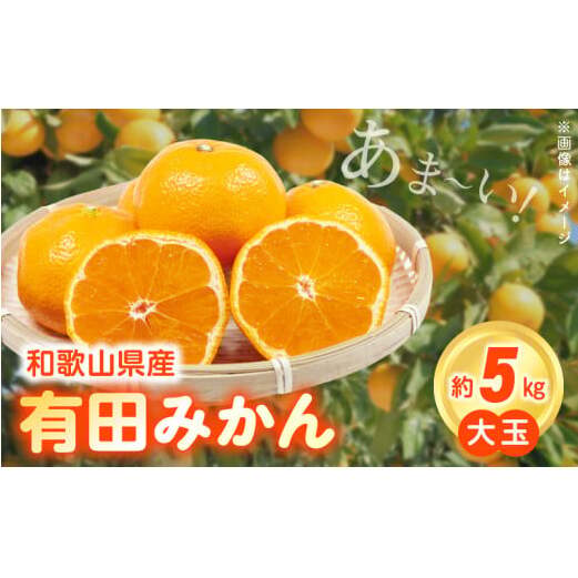 ZN6011n_(大玉)和歌山県産 有田みかん 5kg ひとつひとつ手選別で厳選!生産者から直送和歌山県湯浅町9000果物・フルーツみかん・柑橘類