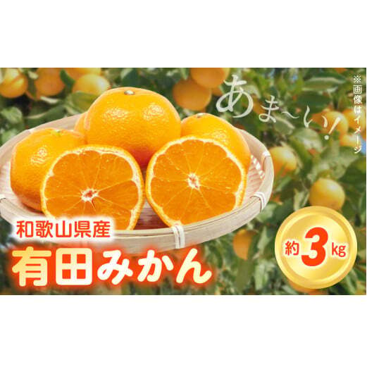 ZN6012_こだわりの和歌山県産 有田みかん 3kg ひとつひとつ手選別で厳選!生産者から直送和歌山県湯浅町11000果物・フルーツみかん・柑橘類