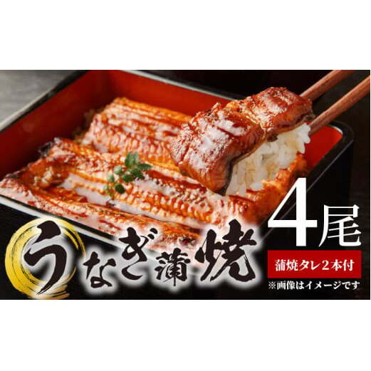 BC6007_うなぎ蒲焼 4尾 & 蒲焼タレ 2本 セット 国産 安全 ふっくら うなぎ 特製 タレ 土用 丑の日 こだわり 蒲焼き 贈答 贈り物 ギフト 急速冷凍 うな丼 うな重 う巻き ひつまぶし うなむすび 濃