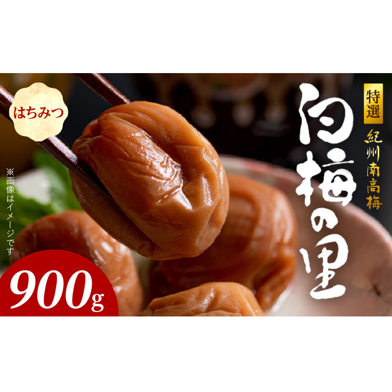 SF1003_IIB썂~u~̗v݂͂@900a̎R15000ZbgE؁EHHiЕE~EL`