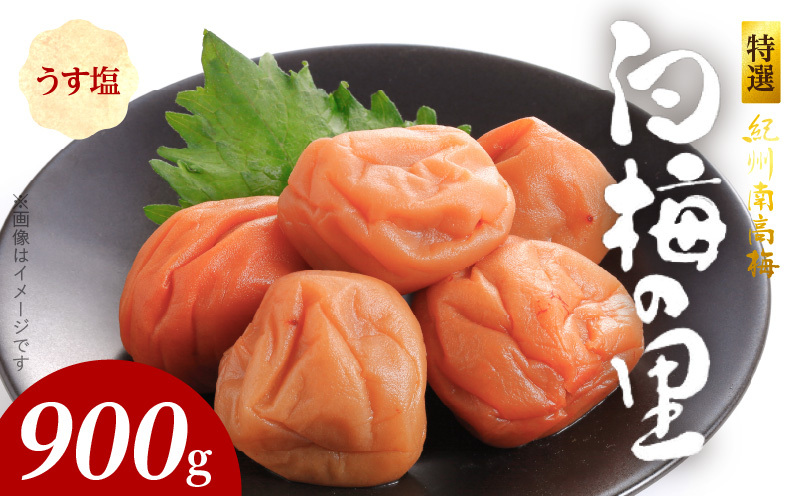 SF1000_IIB썂~u~̗v@900a̎R15000ZbgE؁EHHiЕE~EL`