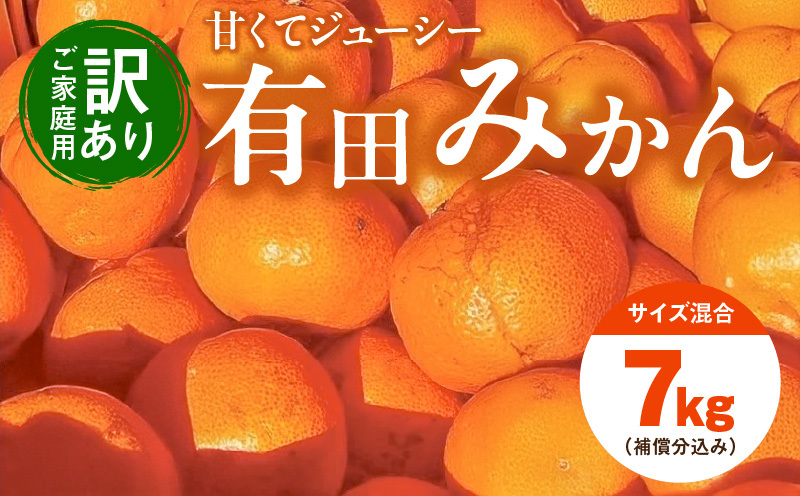 EH6102_【訳あり ご家庭用】和歌山県産 有田みかん 6+1kg保証分 サイズ混合和歌山県湯浅町10000果物・フルーツみかん・柑橘類