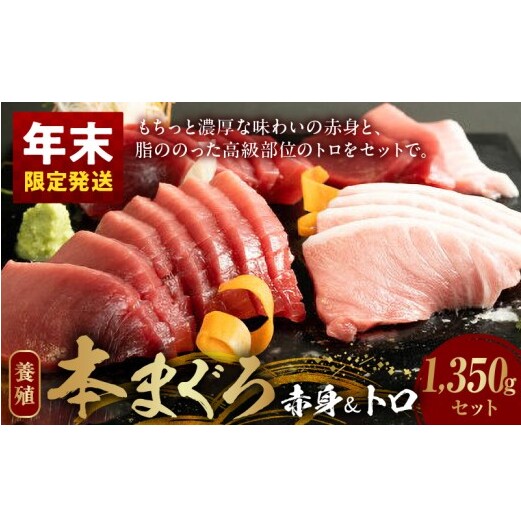 AZ6020_nm_【年末限定発送】本マグロ (養殖) 赤身&トロ セット 1350g和歌山県湯浅町53000魚介・海産物その他 魚介・海産物