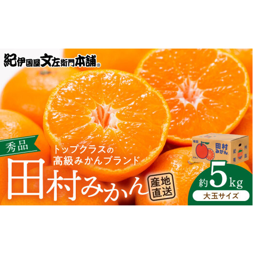 V7451_田村みかん/5kg秀品【大玉サイズ】/ 紀州和歌山有田郡湯浅町田村地区産 / 最高級プレミアムブランドの田村ミカン  / 紀伊国屋文左衛門本舗(お届け日指定不可)和歌山県湯浅町14000果物