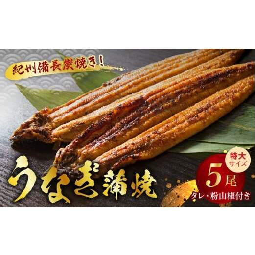 V7303_炭焼き うなぎ 蒲焼 特大サイズ 5尾 セット(約200g前後×5尾)タレ 粉山椒 付き 国産 鰻 冷凍 ウナギ 1尾ずつ真空パック 土用の丑の日 紀伊国屋文左衛門本舗和歌山県湯浅町72000魚
