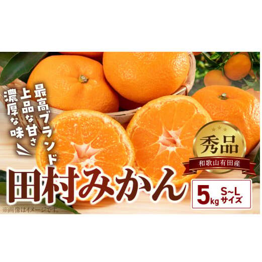 BD7004n_有田の高級みかん【田村みかん】秀品!たっぷり 5kg ギフトにもオススメ (S〜Lサイズおまかせ)和歌山県湯浅町17000果物・フルーツみかん・柑橘類