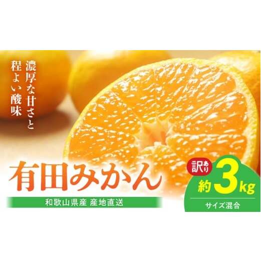 BL6171_【産地直送】和歌山県産 有田みかん 3kg サイズ混合 【訳あり】和歌山県湯浅町7000果物・フルーツみかん・柑橘類