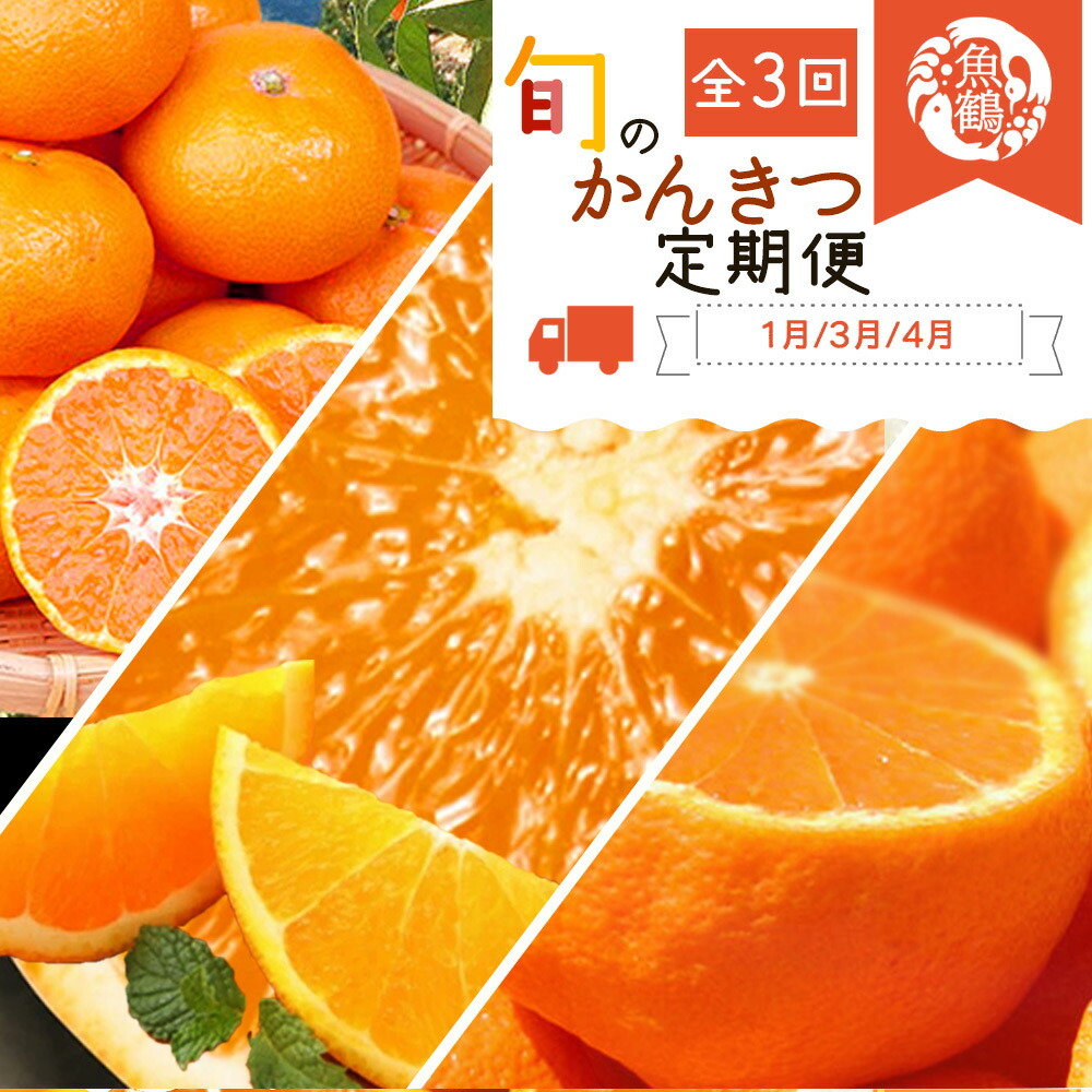G60-T44_【定期便 全3回】紀州和歌山産旬の柑橘セット(みかん・紀州デコ・清見)和歌山県湯浅町43000果物・フルーツみかん・柑橘類