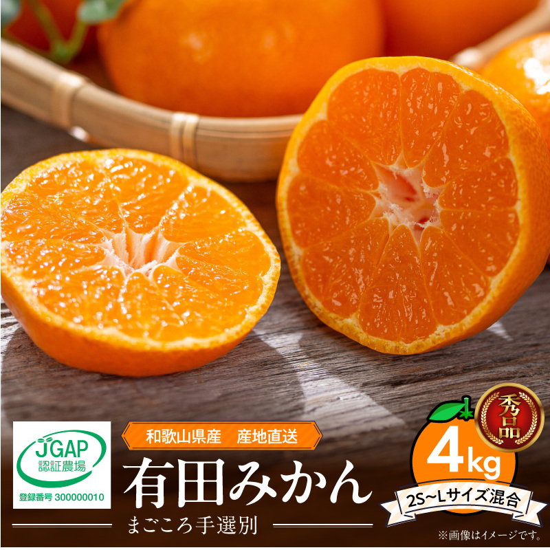 ZE6344n_和歌山県産 有田みかん 4kg (2S〜Lサイズ混合)【まごころ手選別】和歌山県湯浅町13000果物・フルーツみかん・柑橘類