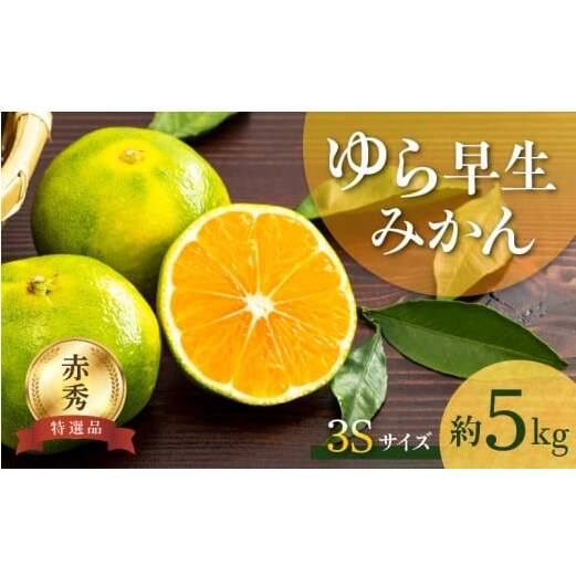 BF6059_ゆら早生みかん 赤秀品 3Sサイズ 5kg和歌山県湯浅町11000果物・フルーツみかん・柑橘類