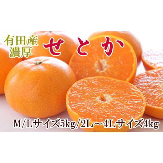 ZD7002_【2026年先行予約】一度は食べていただきたい 有田産のせとか 4〜5kg(サイズおまかせ)和歌山県湯浅町19000果物・フルーツみかん・柑橘類